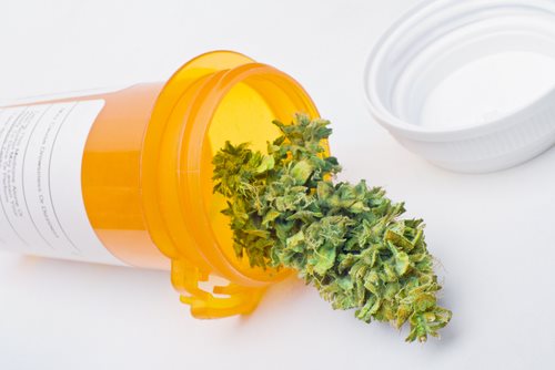 Your Guide to the 17 Medical Marijuana States